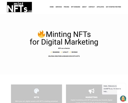 mintNFTs.co